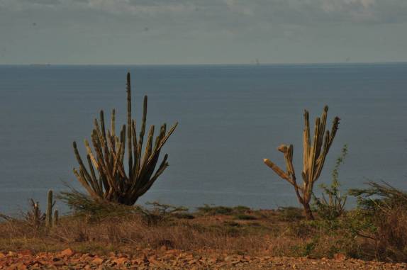 Vista durante caminhada até a Piscina Natural, no sul de Aruba